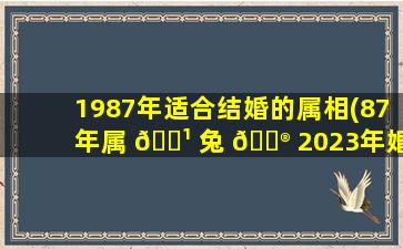 1987年适合结婚的属相(87年属 🌹 兔 💮 2023年婚姻状况如何)